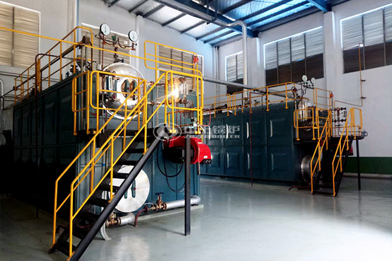 6噸SZS冷凝式燃?xì)忮仩t項(xiàng)目