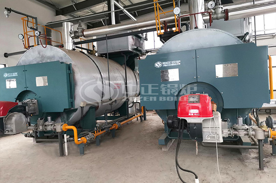 上海市青少年實踐活動金山基地4.2MW WNS系列燃?xì)鉄崴仩t項目