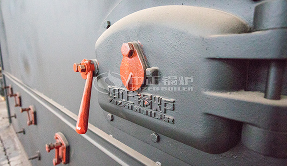 藍(lán)德環(huán)保4噸WNS系列燃?xì)庹羝仩t項(xiàng)目